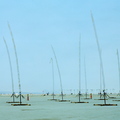 Field of wobbly LED sticks