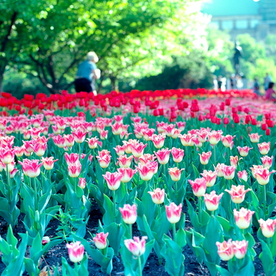 Spring