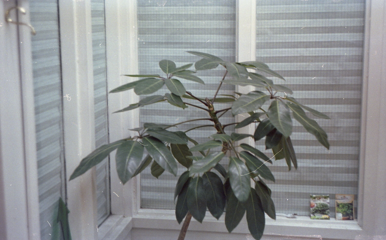 000081-008.jpg